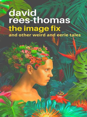 cover image of The Image Fix